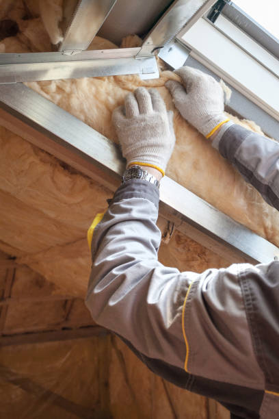 Best Commercial Insulation in Chimayo, NM